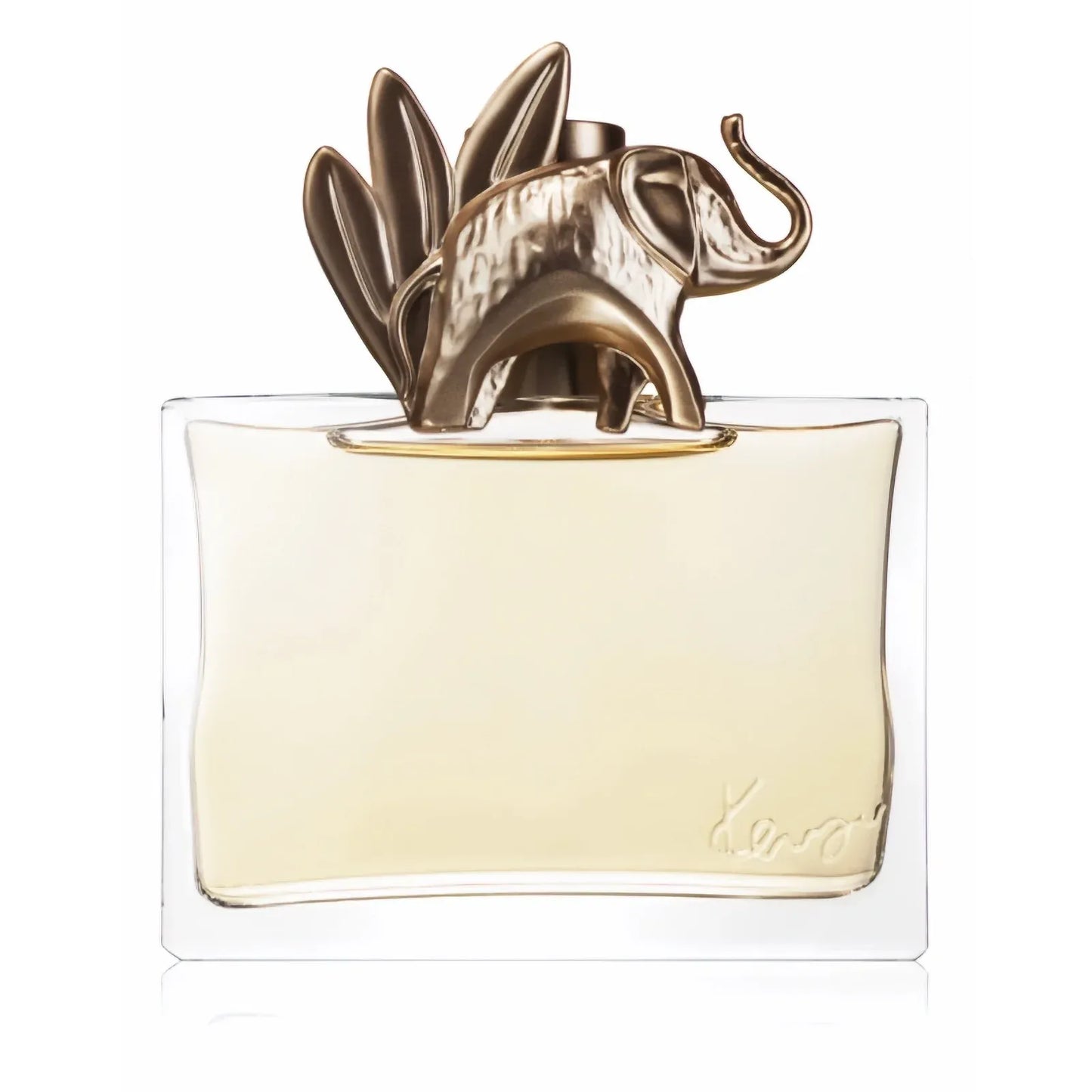 Jungle Elephant Eau de Parfum 100ml Spray