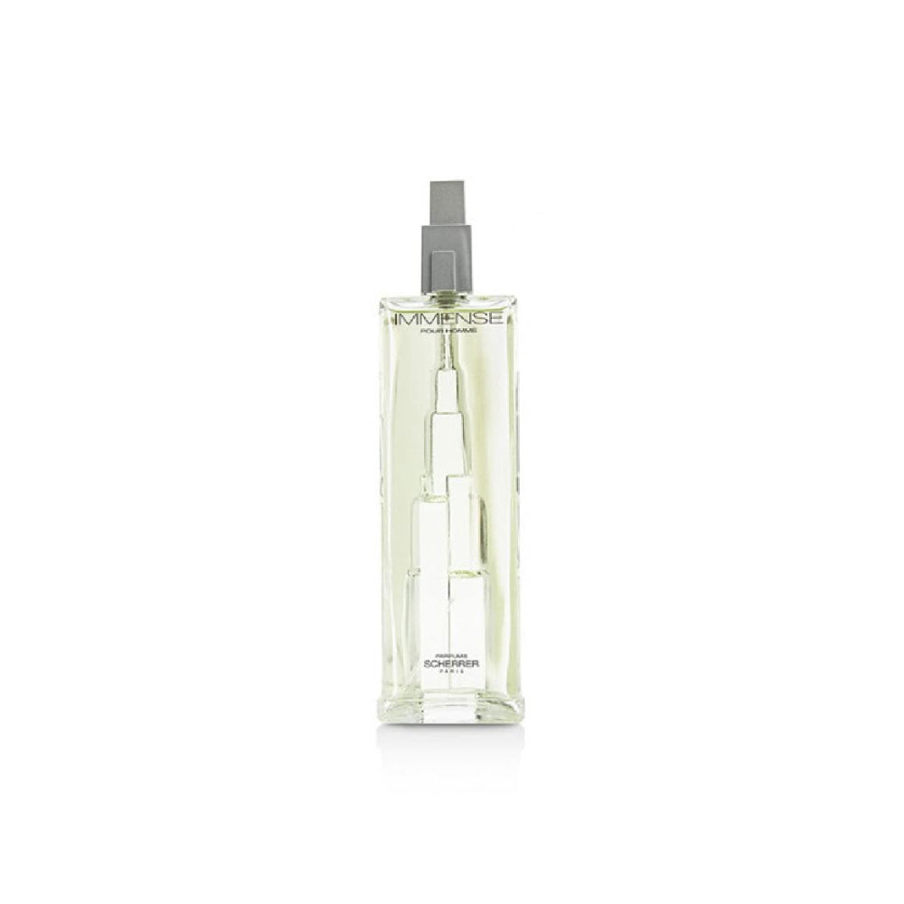 Immense Pour Homme Eau de Toilette 100ml Spray