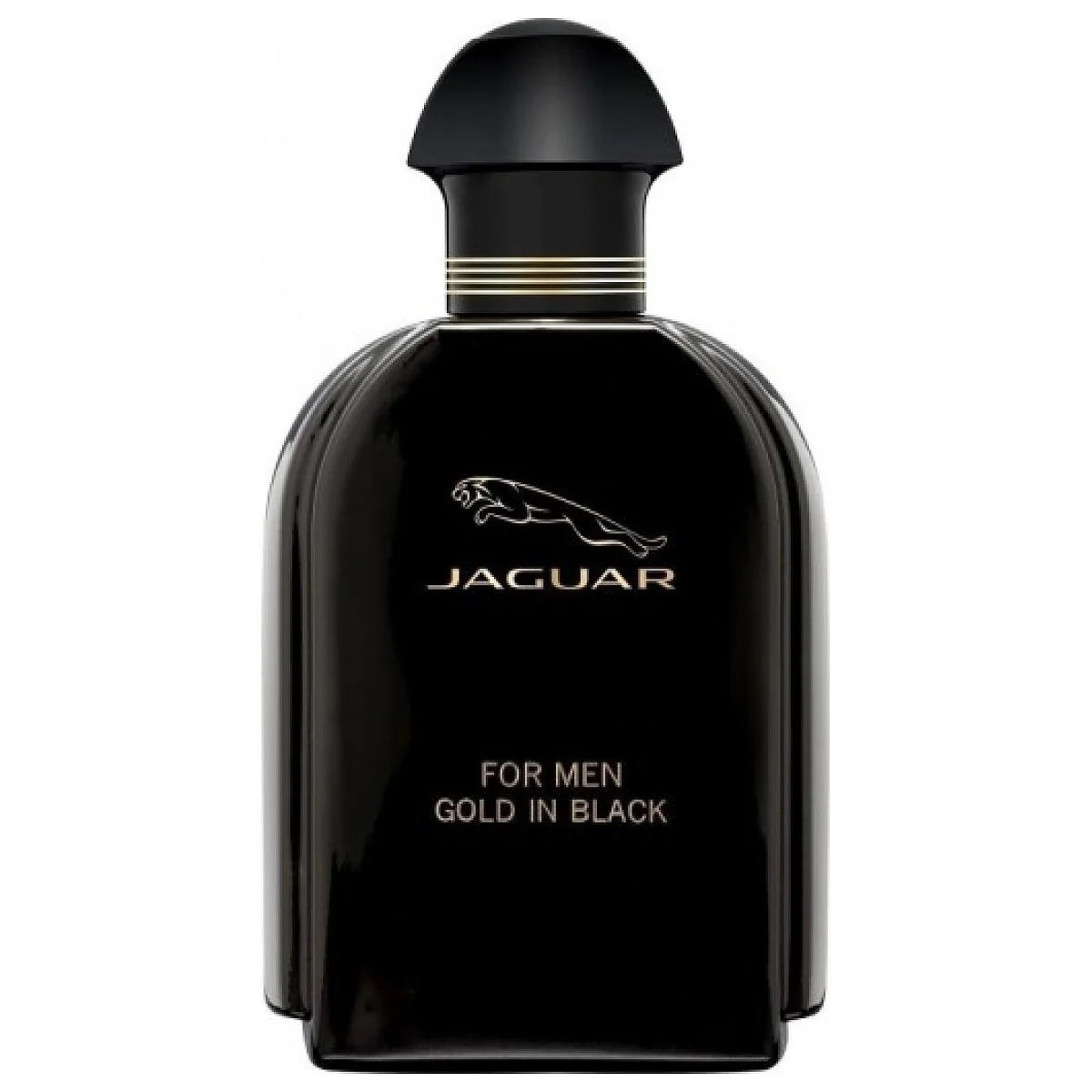 Gold In Black Eau de Toilette 100ml Spray