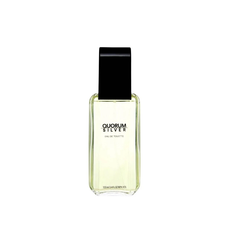 Quorum Silver Eau de Toilette 100ml Spray