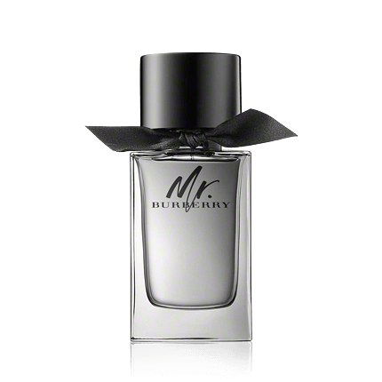Burberry Mr. Burberry Eau de Toilette 100ml Spray