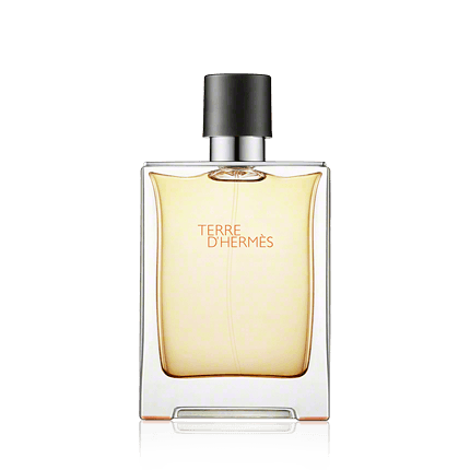 Hermès Terre d'Hermès Eau de Toilette 100ml Spray