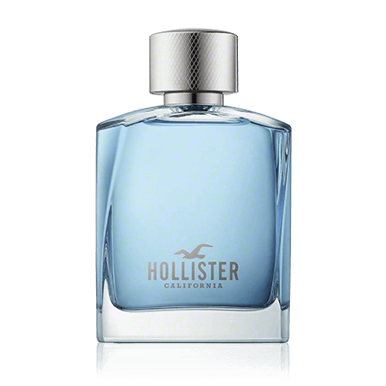 Hollister Wave for Him Eau de Toilette 100ml Spray