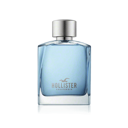 Hollister Wave for Him Eau de Toilette 100ml Spray