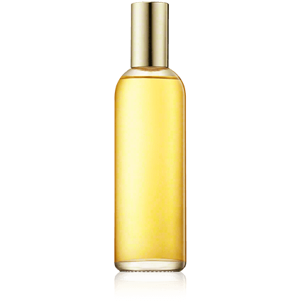 Nina Ricci L'air Du Temps Eau de Toilette 100ml Spray Refill