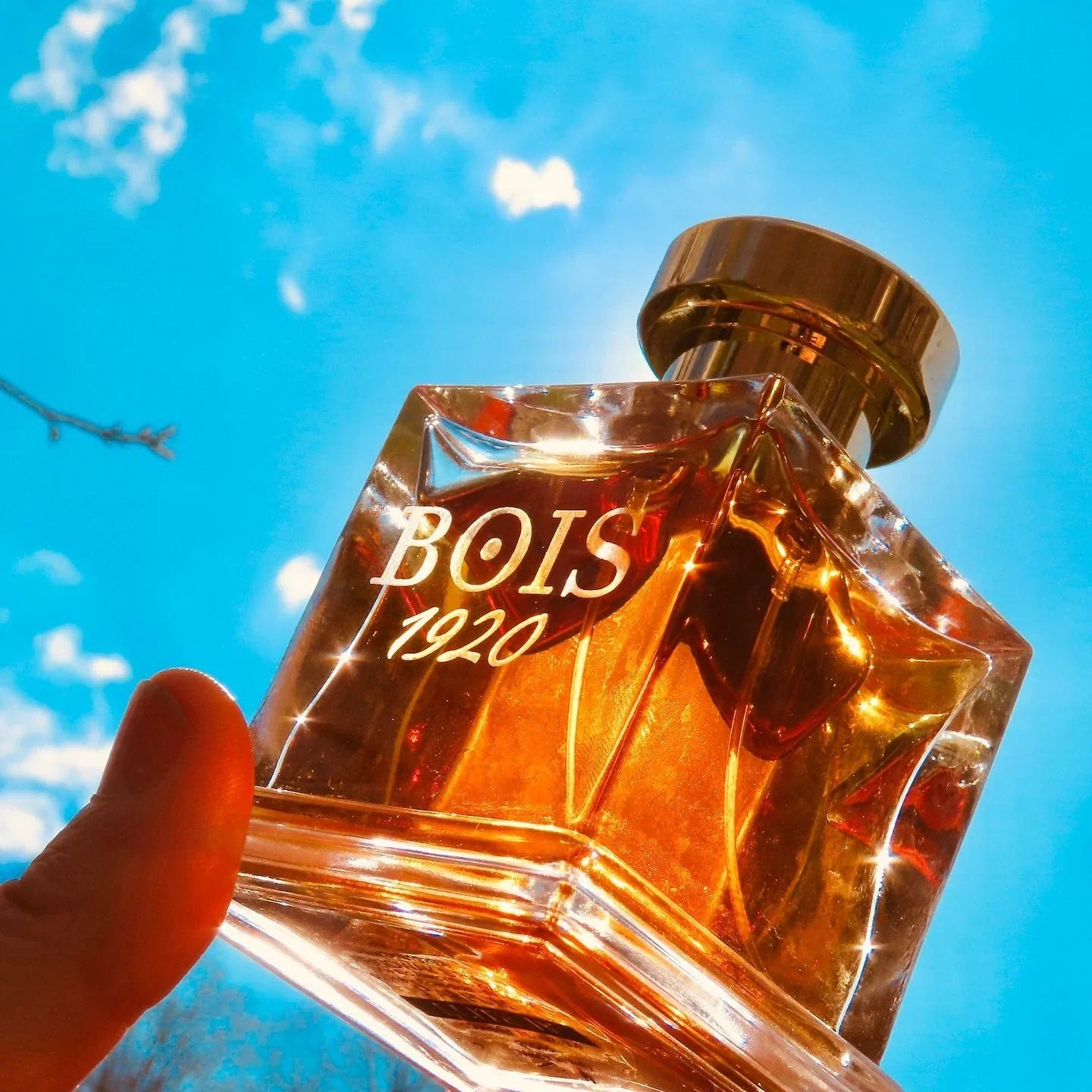 Bois 1920