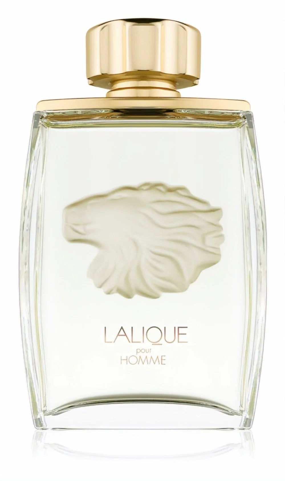 Pour Homme Lion Eau de Parfum 125ml Spray