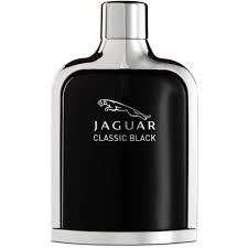Classic Black Eau de Toilette 100ml Spray
