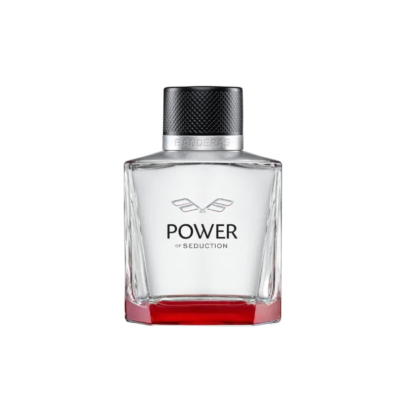 Power of Seduction Urban Eau de Toilette 100ml Spray
