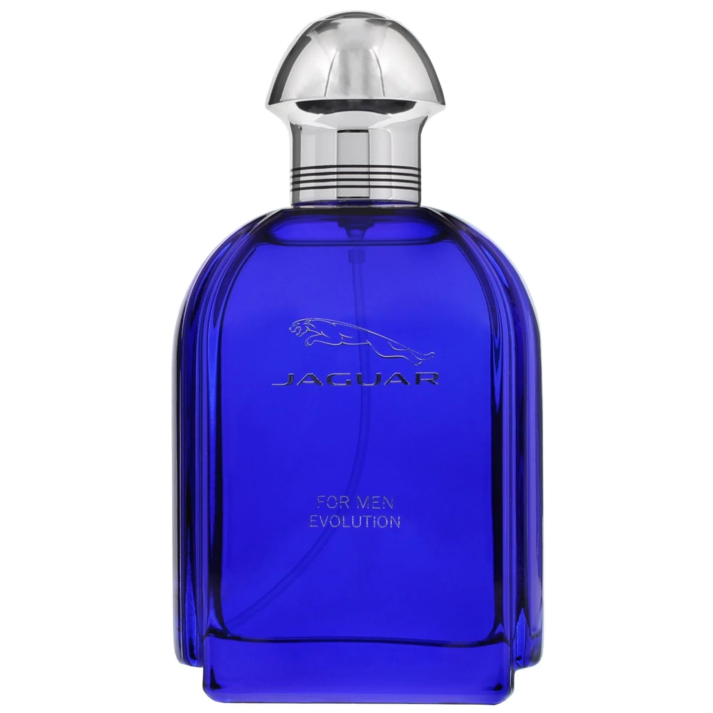 Evolution Eau de Toilette 100ml Spray