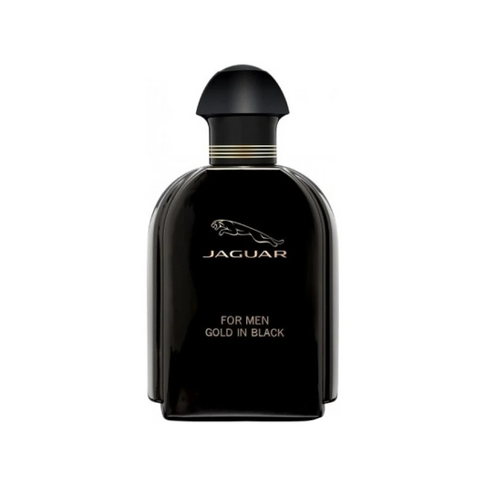 Gold In Black Eau de Toilette 100ml Spray