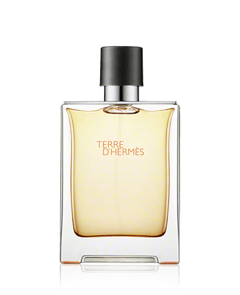 Hermès Terre d'Hermès Eau de Toilette 100ml Spray